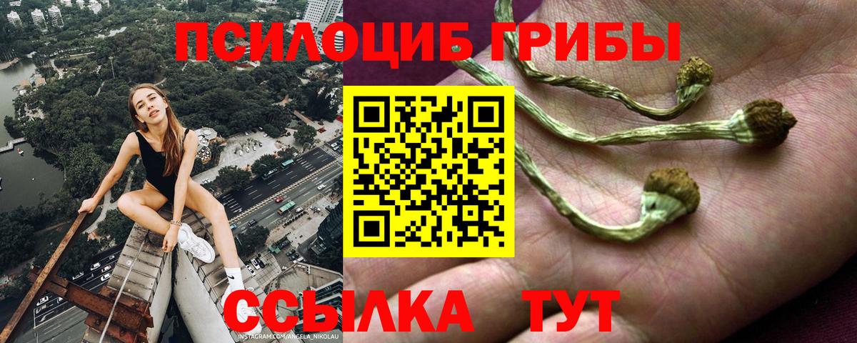 Псилоцибиновые грибы Magic Shrooms  Вход с VPN  Удомля 